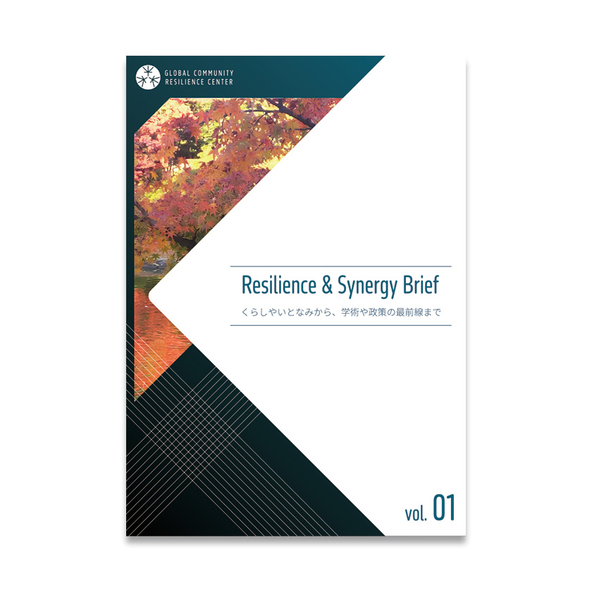 Resilience & Synergy Brief vol.01
